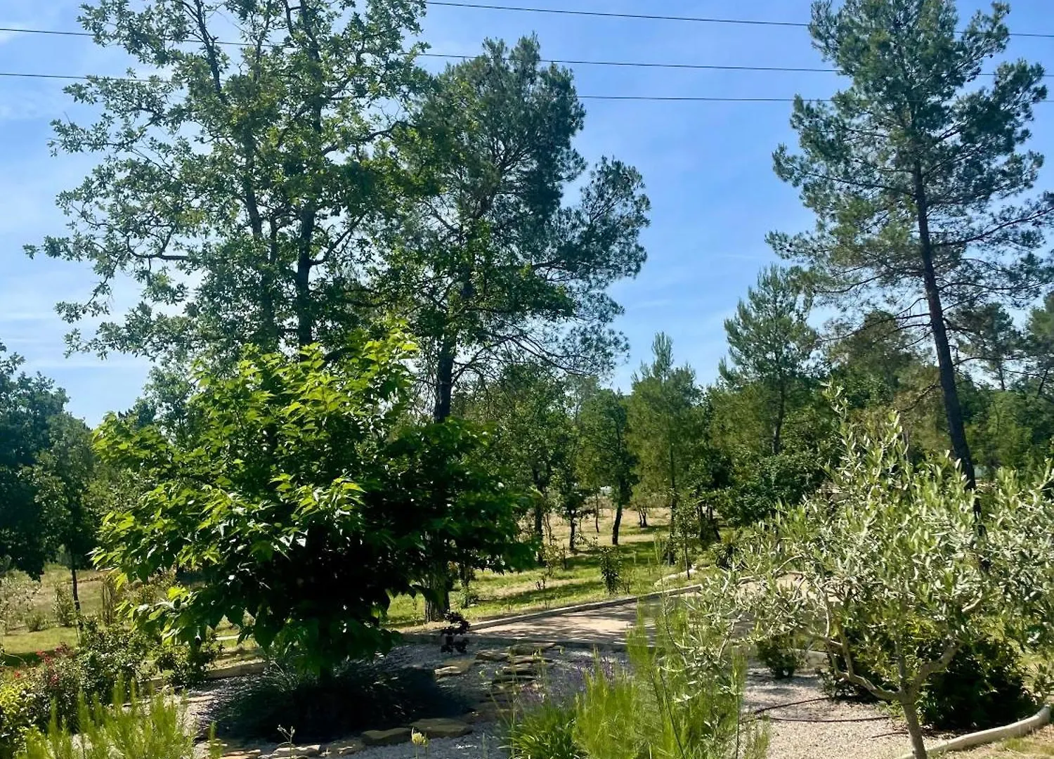 Superbe Villa Seillans La Grande Bastide Avec Piscine, Jardin, Climatisation Et Salle De Sport France